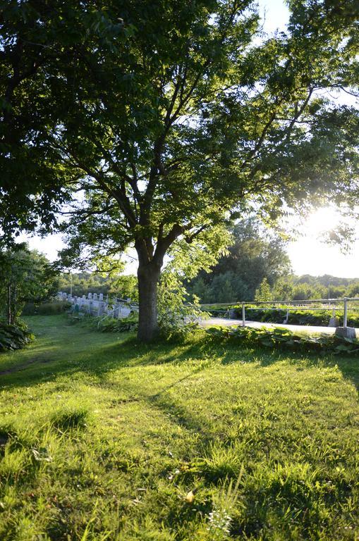 Hotel Tobisviks Camping Simrishamn Zewnętrze zdjęcie